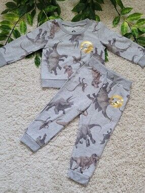 Toddler Boy Grey Jurassic World Outfit (2T)